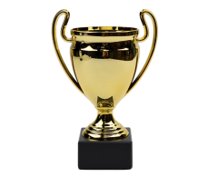 Guld pokal (budget), 16 cm. høj