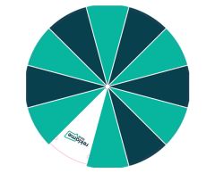 Ekstra plade til bord lykkehjul Ø30 - Eget design