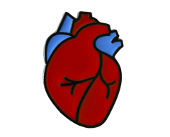 Anatomisk hjerte pin 27x19mm