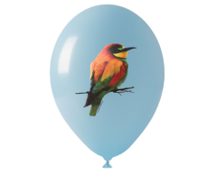 Fotoballoner / Fuldfarve balloner med tryk