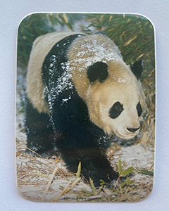 Panda - 95x70mm firkantet klistermærke med runde hjørner