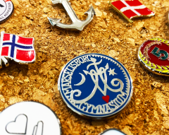 Pins til skoler og gymnasier