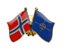 Norge - NATO flag venskabspin