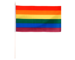 Pride flag på pind 20 x 30 cm, nylon håndflag