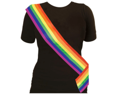 Pride LGBTQ+ skråbånd