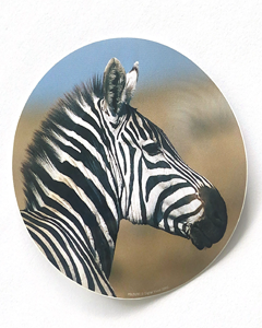 Zebra  - 80mm rundt klistermærke